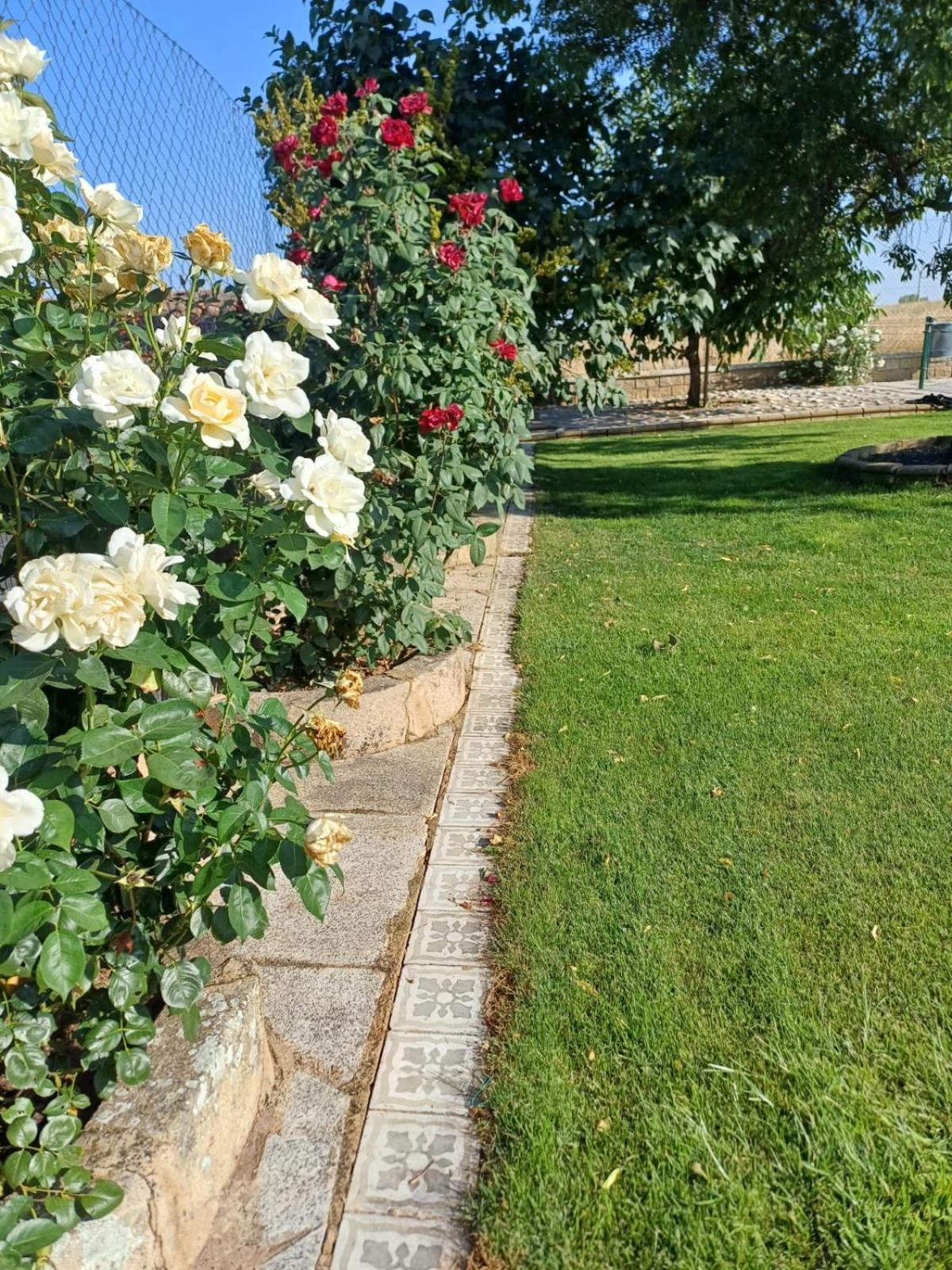 הוילה Villarmayor  El Almendro Del Cura מראה חיצוני תמונה